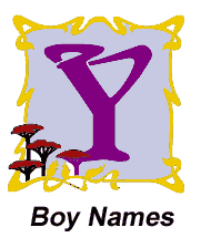 YBoy