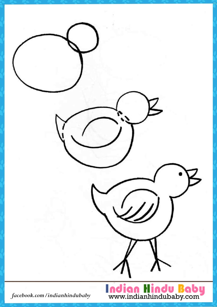  Chick step by step drawing for kids