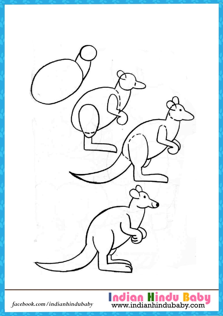 Kangaroo step by step drawing for kids