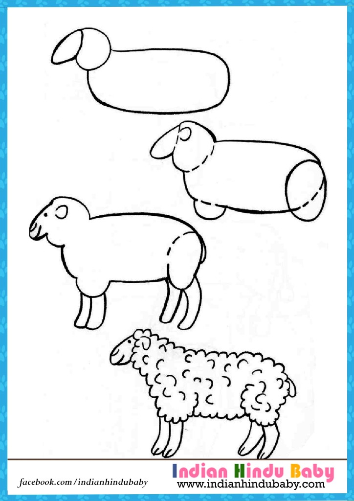 Sheep step by step drawing for kids