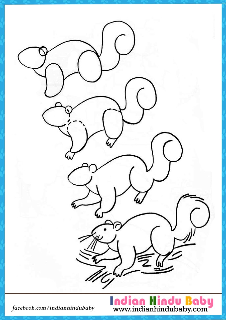 Squirrel step by step drawing for kids